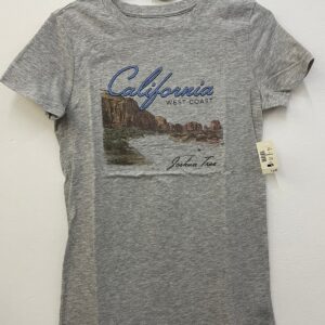 Remera CALIFORNIA gris talle M (mujer)